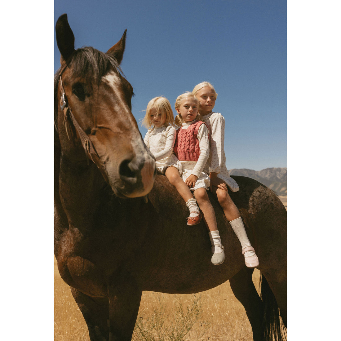 LBL77A Ladida Pink knit cable vest