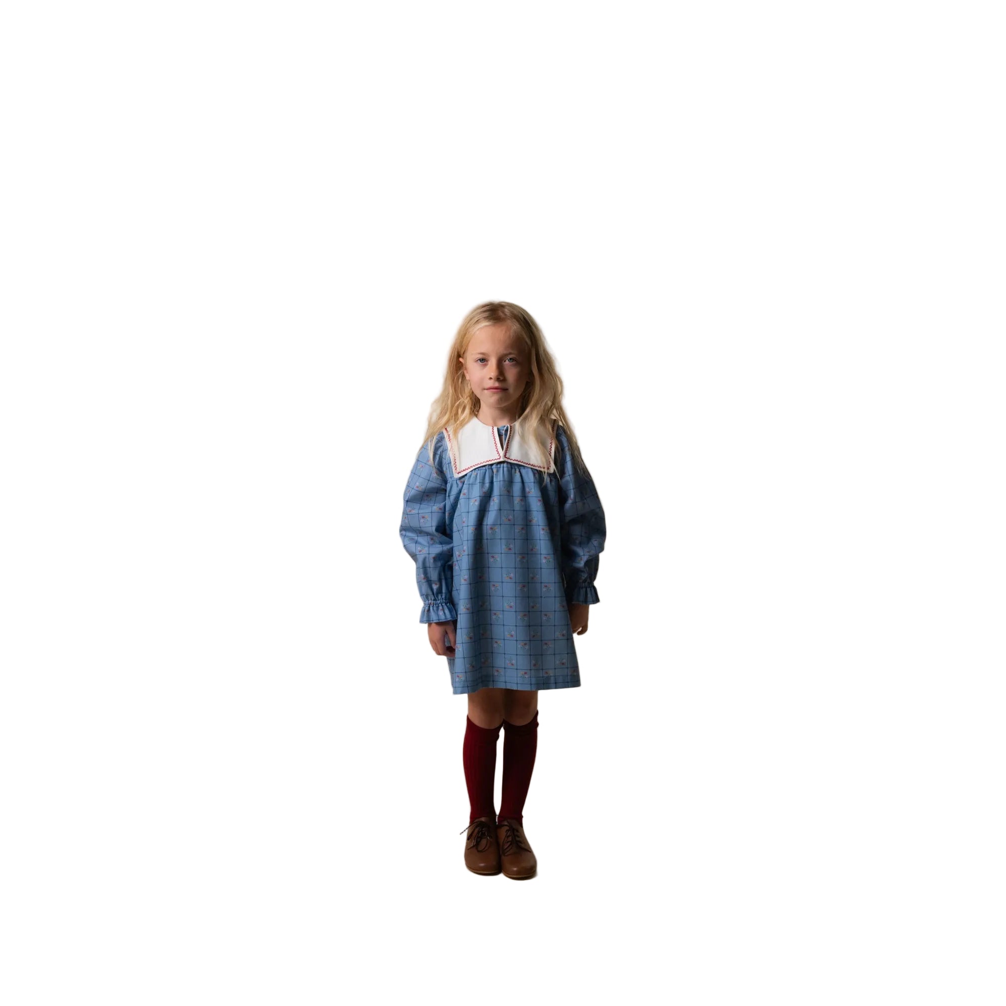 Birinit Catherina Embroidered Dress