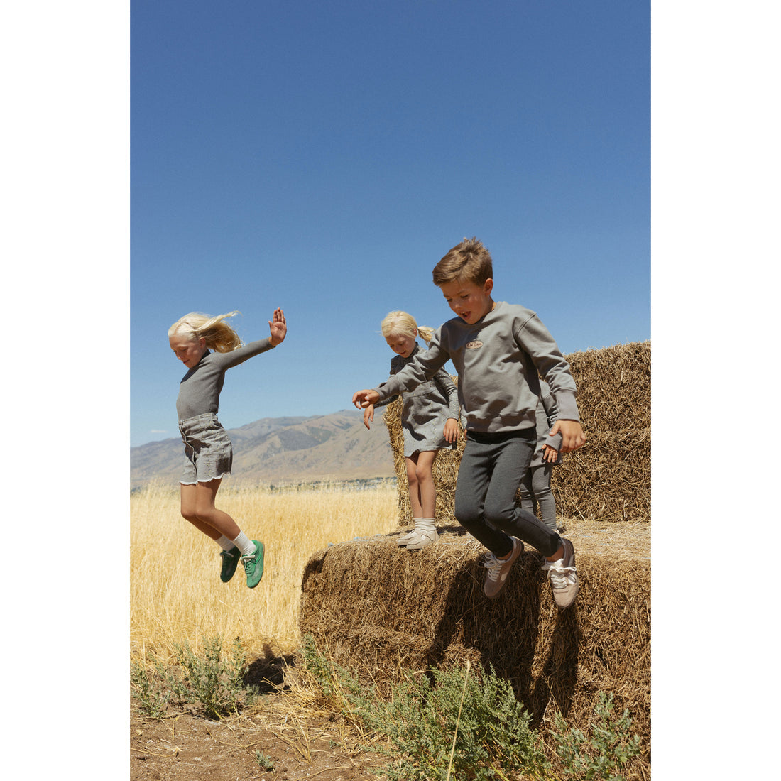 Lbl209a solid grey turtleneck.