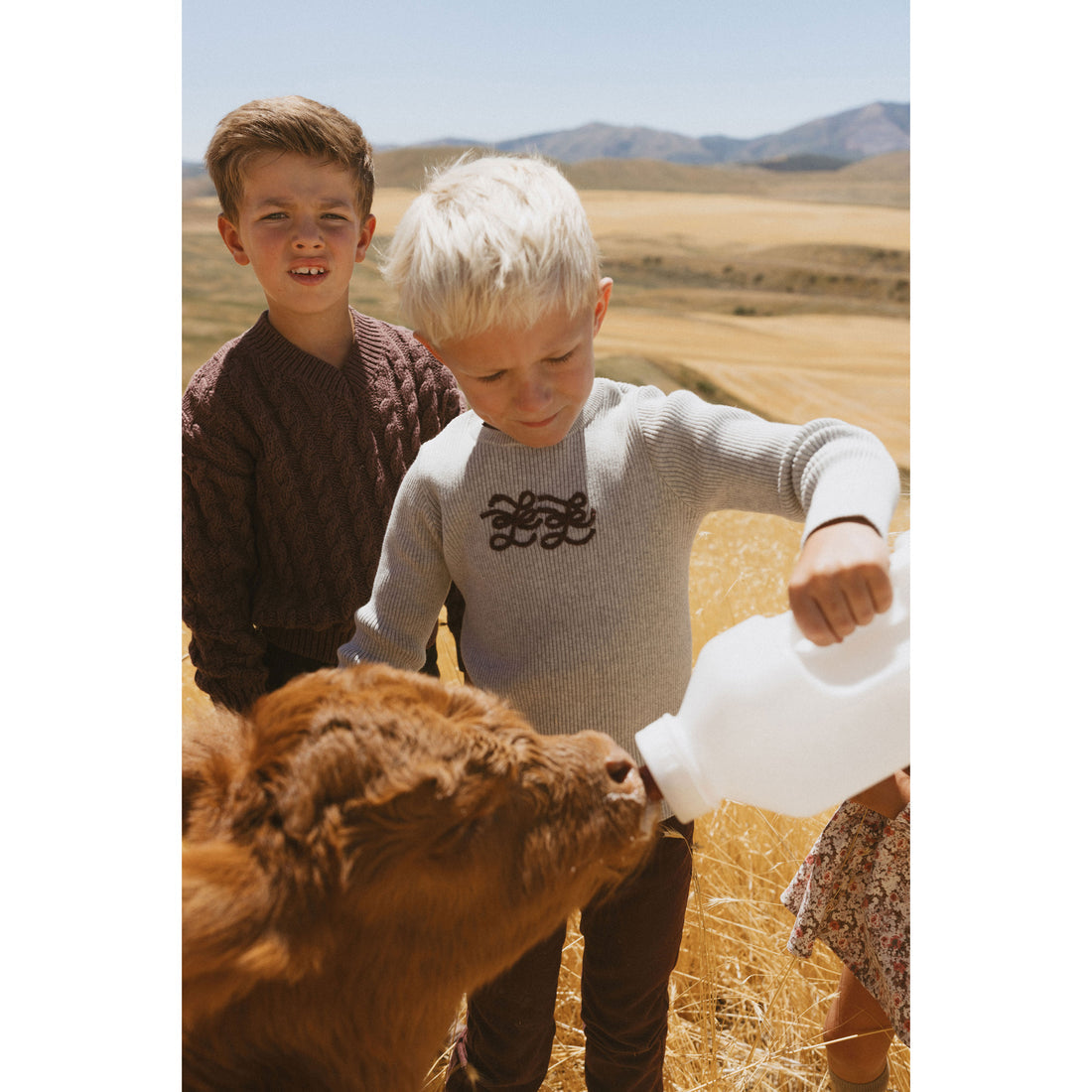 LBL54 Ladida Brown wool pants