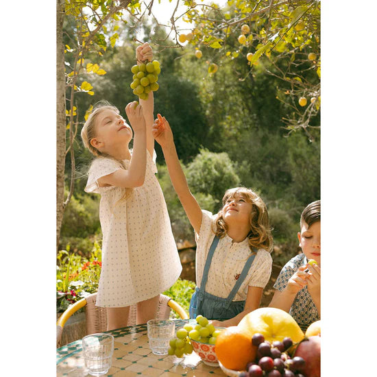 Tic Tac Short Sleeve Dress