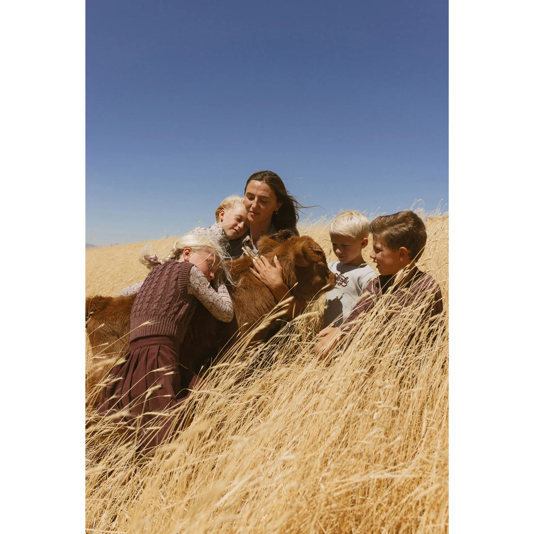 LBL77B Chaleco de punto trenzado marrón Ladida