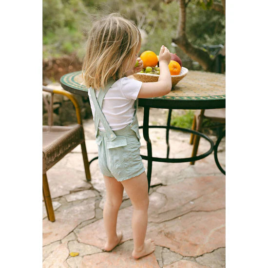 Fern Gingham V Button Romper
