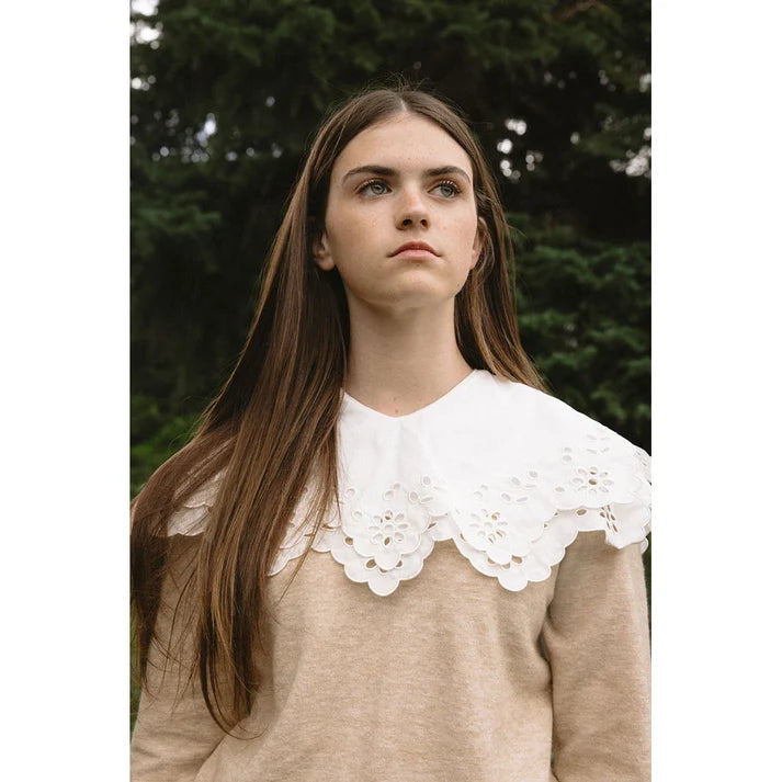 Knit Eyelet Collar Sweater
