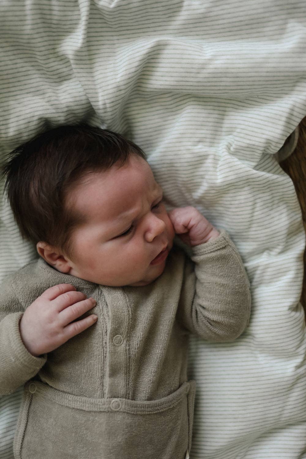 Terry Front flap Onesie Taupe