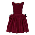 Concha Granate Velvet Mini Dress