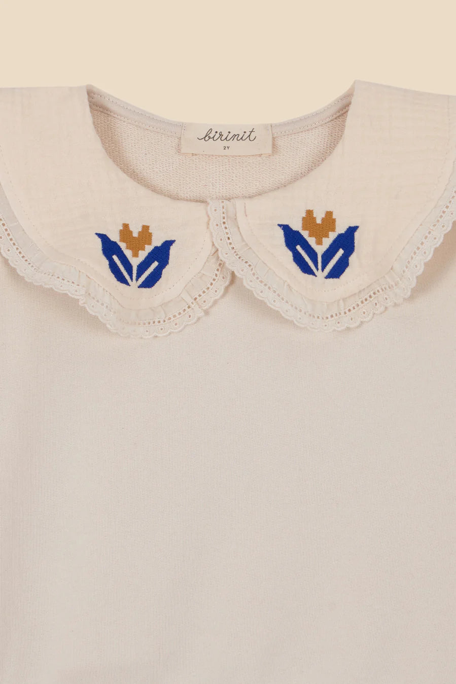 Embroidered collar hoodie