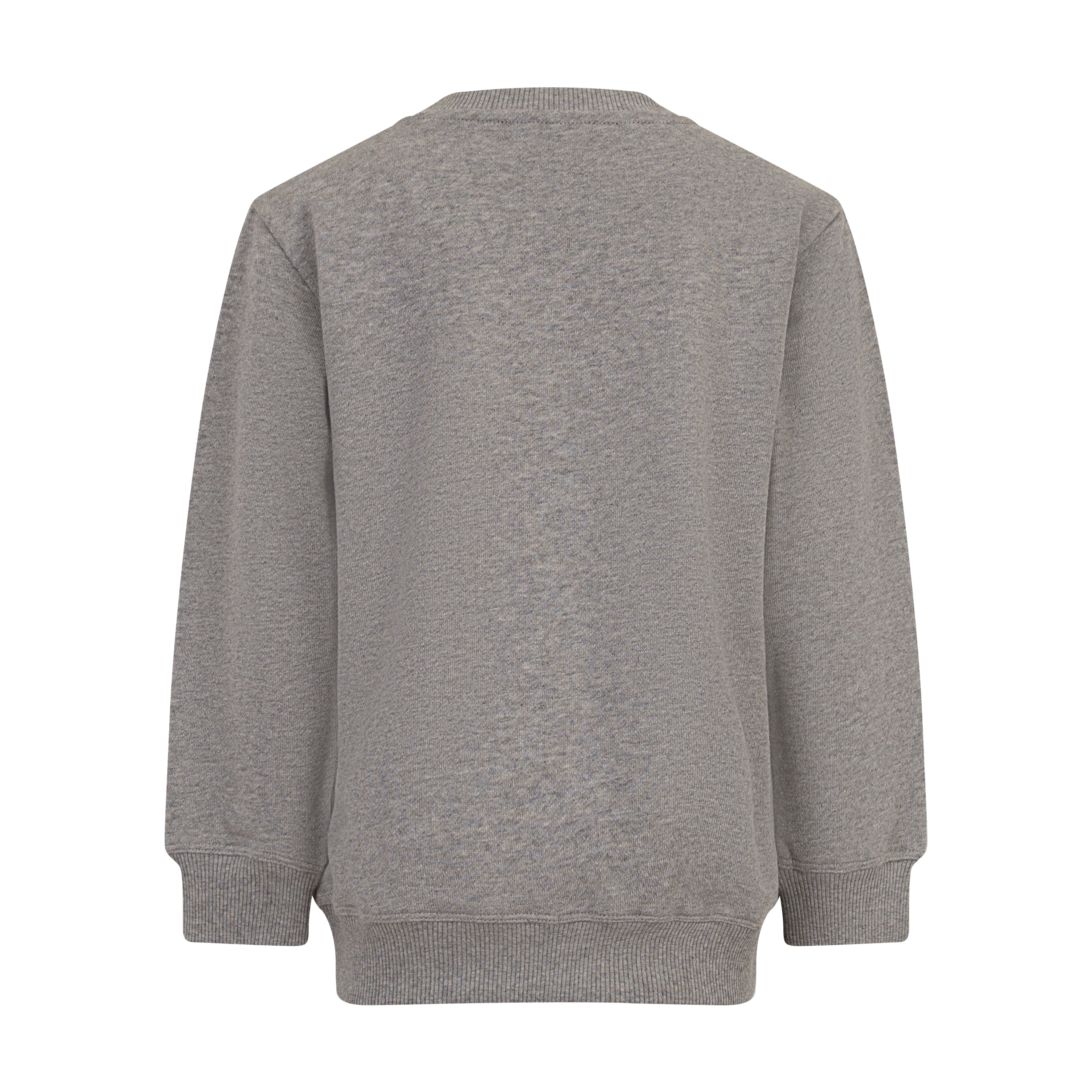 BOY LOGO SWEATSHIRT GRAY