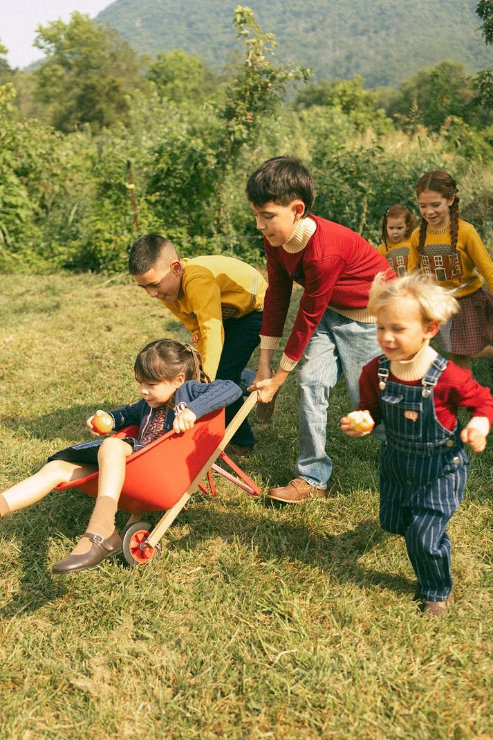 Striped Denim Overalls