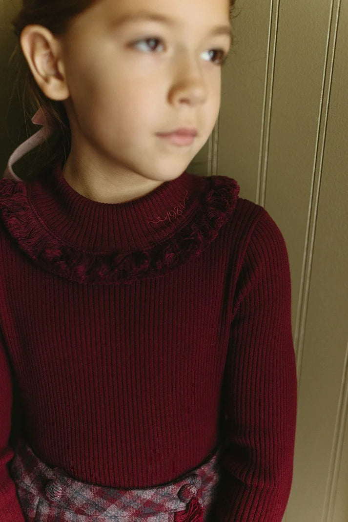 Wine Knit Fringe Turtleneck