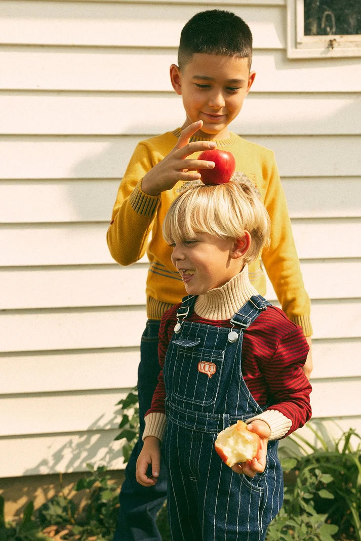 Striped Denim Overalls