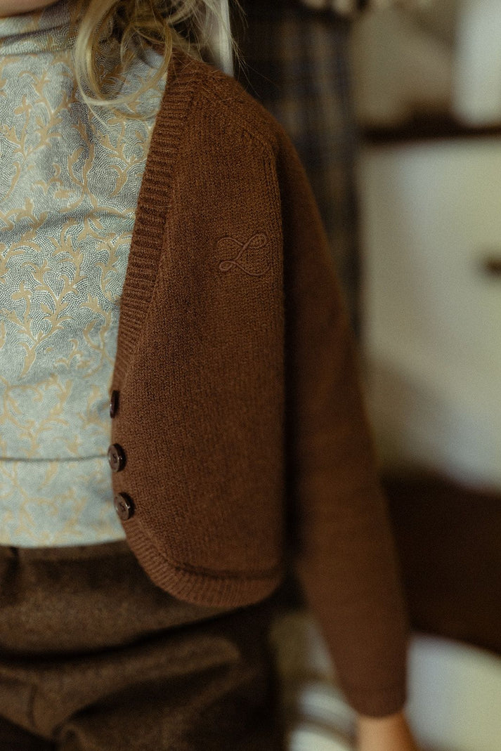Brown Cardigan