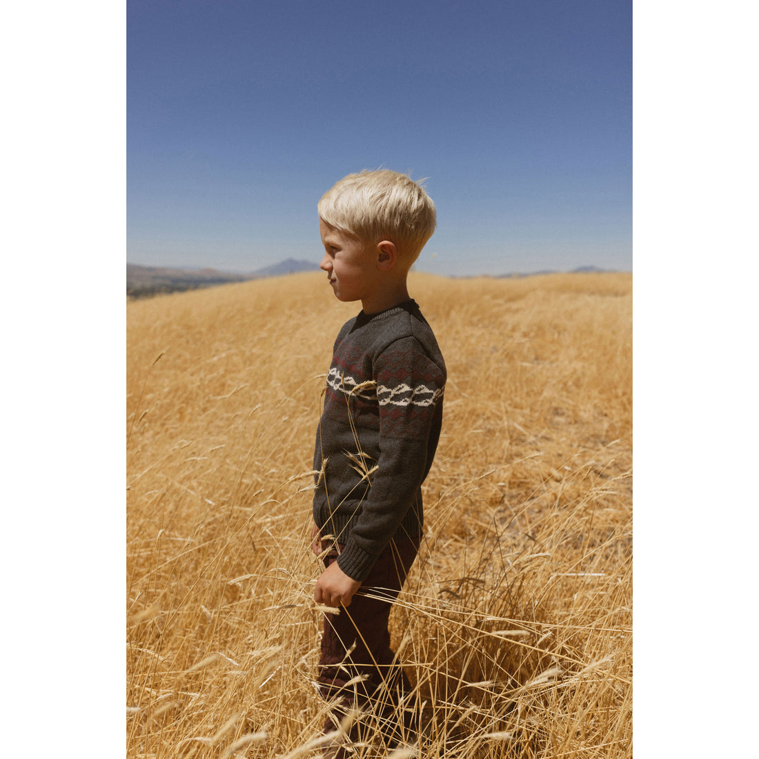 LBL54 Ladida Brown wool pants