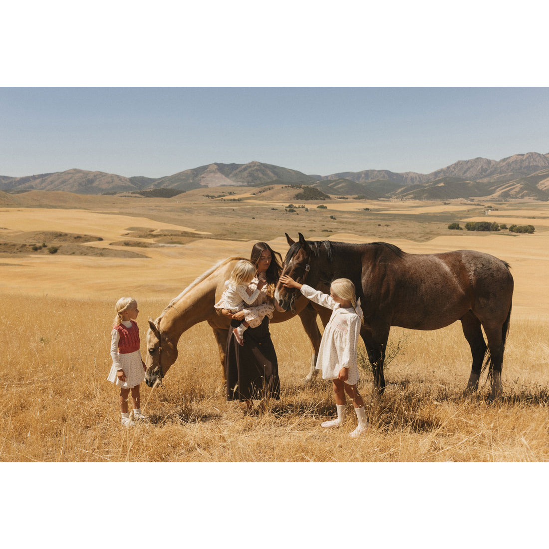 LBL77A Chaleco de punto rosa Ladida