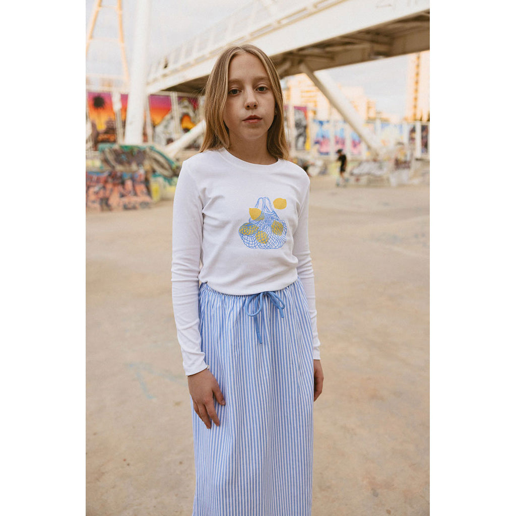 CH25131 Striped A-line Skirt
