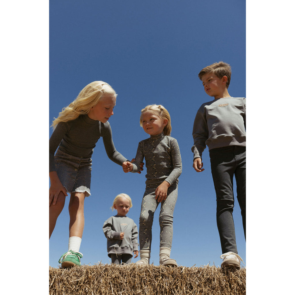 Lbl209a solid grey turtleneck.