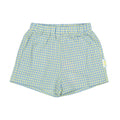 1984332 Blue Checked Shorts