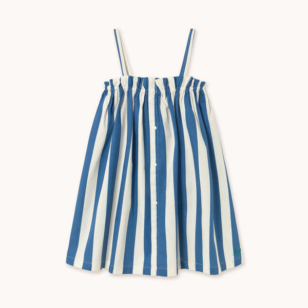 Light Navy Stripes Dress light Navy