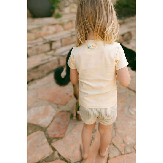 Funday Green Stripe Shorts