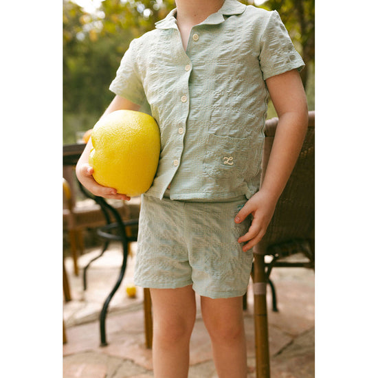 Fern Gingham Grandpa Shirt