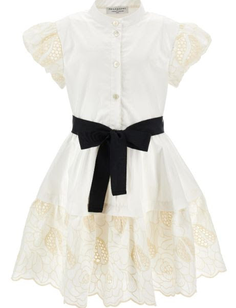 BUTTON DOWN DRESS W EMBROIDERED SLEEVE & SKIRT